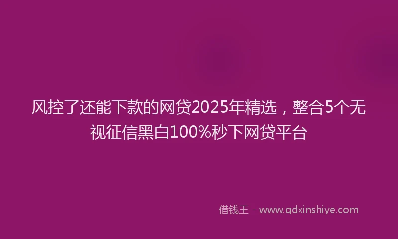 风控了还能下款的网贷2025年精选，整合5个无视征信黑白100%秒下网贷平台