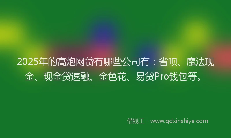 2025年的高炮网贷有哪些公司有：省呗、魔法现金、现金贷速融、金色花、易贷Pro钱包等。