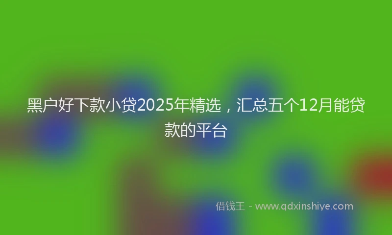 黑户好下款小贷2025年精选，汇总五个12月能贷款的平台