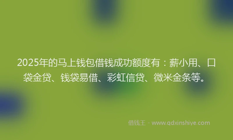 2025年的马上钱包借钱成功额度有：薪小用、口袋金贷、钱袋易借、彩虹信贷、微米金条等。