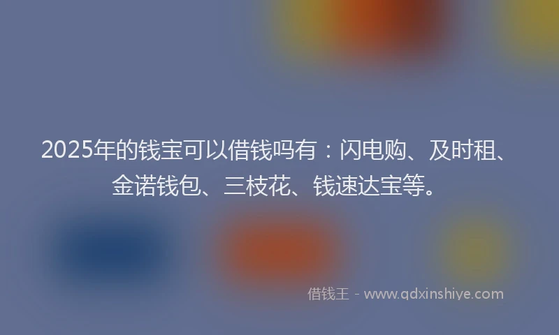 2025年的钱宝可以借钱吗有：闪电购、及时租、金诺钱包、三枝花、钱速达宝等。