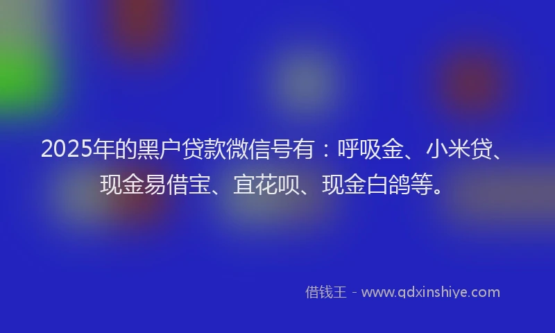 2025年的黑户贷款微信号有：呼吸金、小米贷、现金易借宝、宜花呗、现金白鸽等。