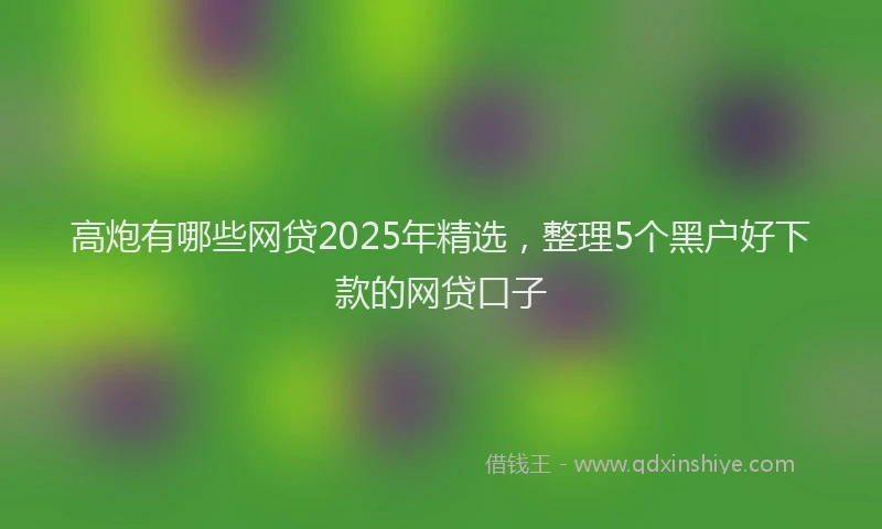 高炮有哪些网贷2025年精选，整理5个黑户好下款的网贷口子