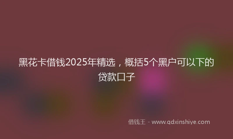 黑花卡借钱2025年精选，概括5个黑户可以下的贷款口子