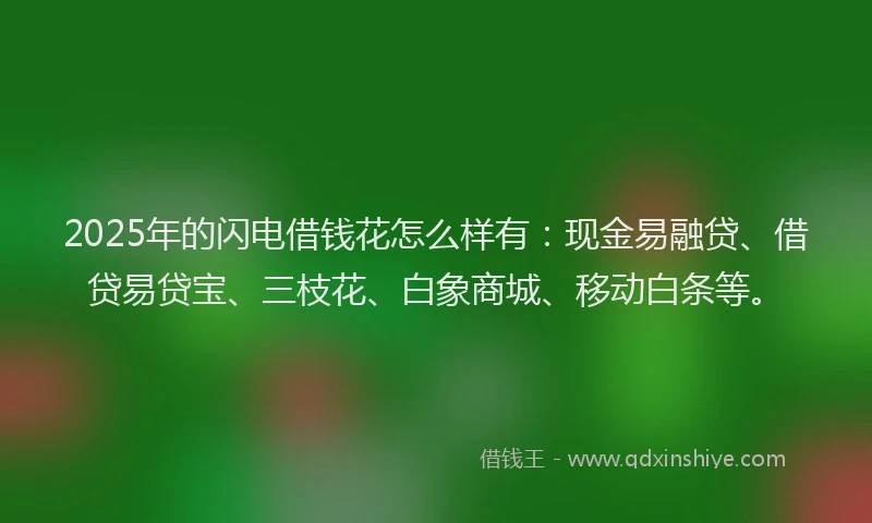 2025年的闪电借钱花怎么样有：现金易融贷、借贷易贷宝、三枝花、白象商城、移动白条等。