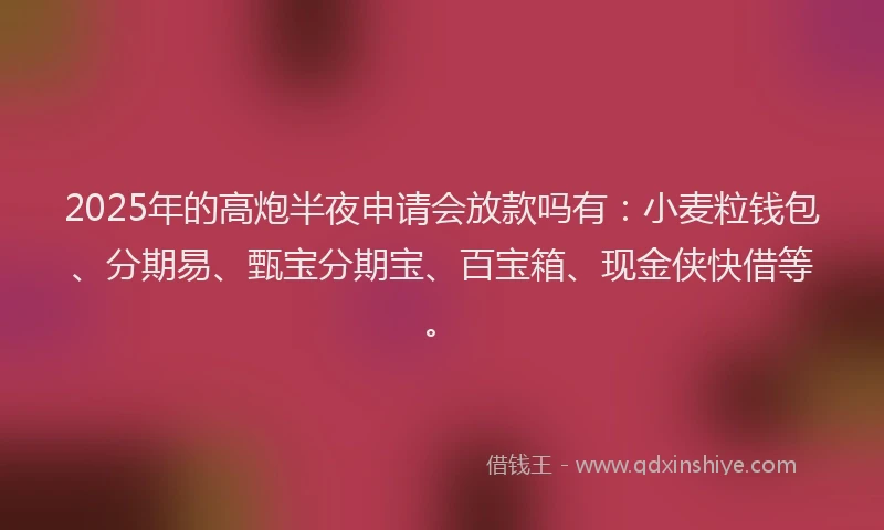 2025年的高炮半夜申请会放款吗有：小麦粒钱包、分期易、甄宝分期宝、百宝箱、现金侠快借等。
