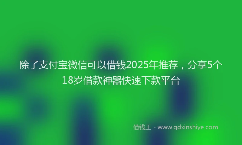 除了支付宝微信可以借钱2025年推荐，分享5个18岁借款神器快速下款平台