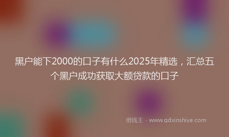 黑户能下2000的口子有什么2025年精选，汇总五个黑户成功获取大额贷款的口子