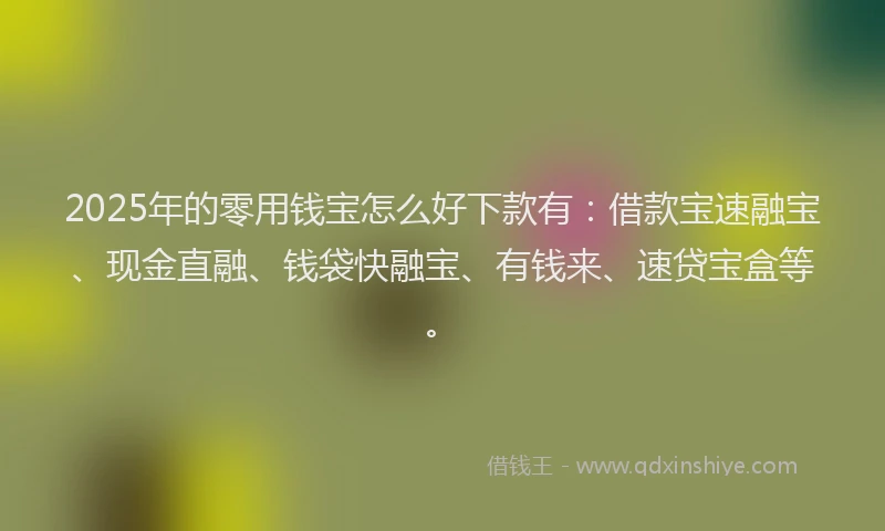 2025年的零用钱宝怎么好下款有：借款宝速融宝、现金直融、钱袋快融宝、有钱来、速贷宝盒等。