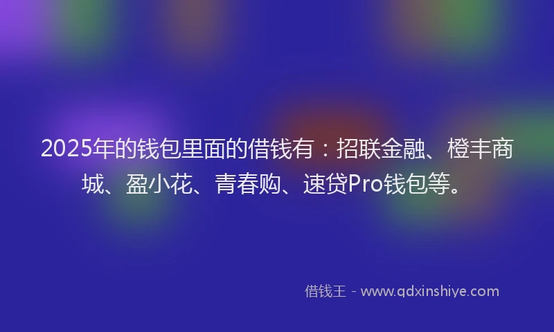 2025年的钱包里面的借钱有：招联金融、橙丰商城、盈小花、青春购、速贷Pro钱包等。