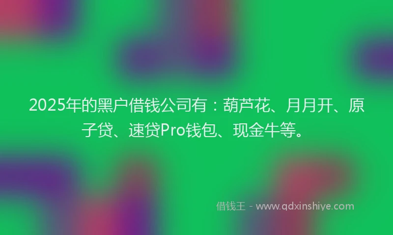2025年的黑户借钱公司有：葫芦花、月月开、原子贷、速贷Pro钱包、现金牛等。