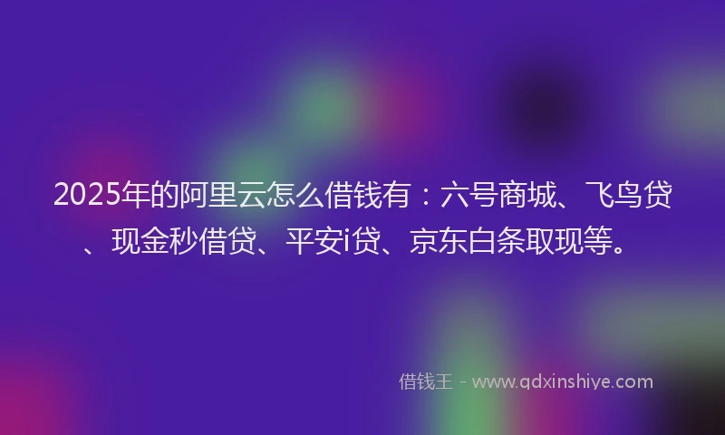 2025年的阿里云怎么借钱有：六号商城、飞鸟贷、现金秒借贷、平安i贷、京东白条取现等。