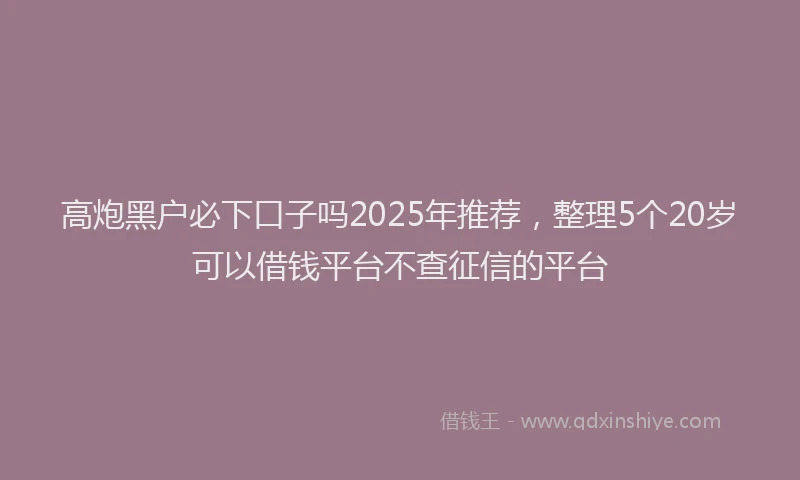 高炮黑户必下口子吗2025年推荐，整理5个20岁可以借钱平台不查征信的平台