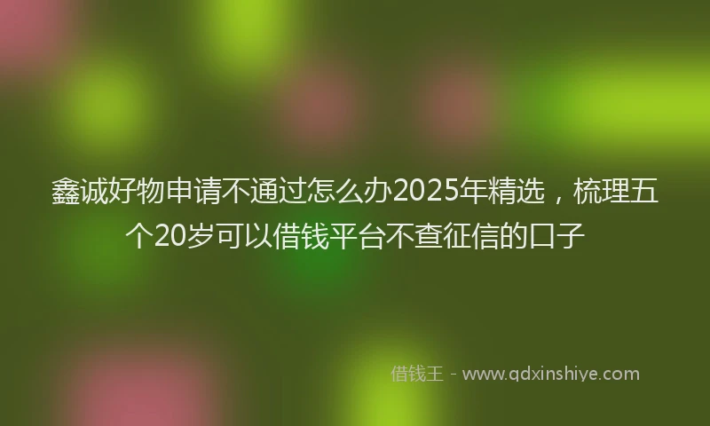鑫诚好物申请不通过怎么办2025年精选，梳理五个20岁可以借钱平台不查征信的口子