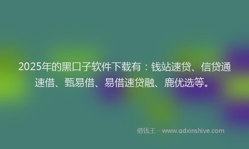 2025年的黑口子软件下载有：钱站速贷、信贷通速借、甄易借、易借速贷融、鹿优选等。