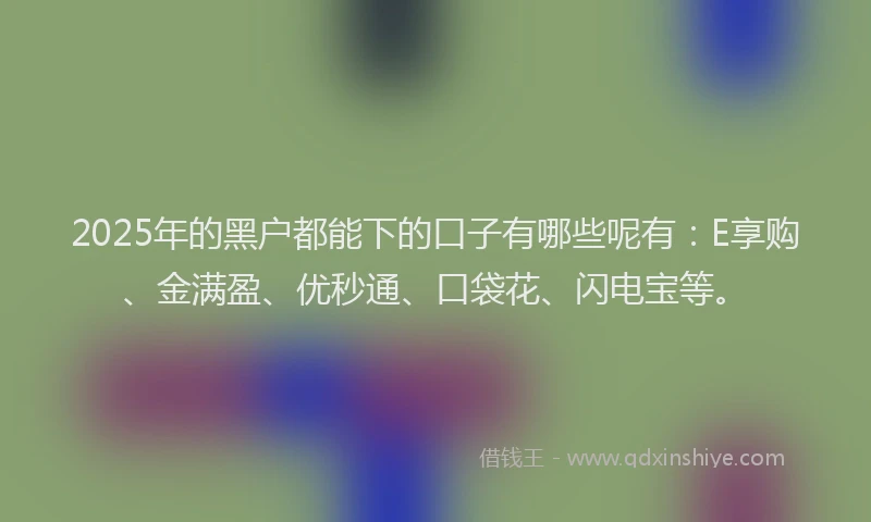 2025年的黑户都能下的口子有哪些呢有：E享购、金满盈、优秒通、口袋花、闪电宝等。