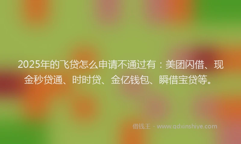 2025年的飞贷怎么申请不通过有：美团闪借、现金秒贷通、时时贷、金亿钱包、瞬借宝贷等。