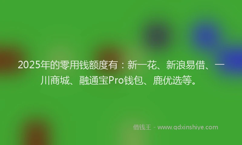 2025年的零用钱额度有：新一花、新浪易借、一川商城、融通宝Pro钱包、鹿优选等。