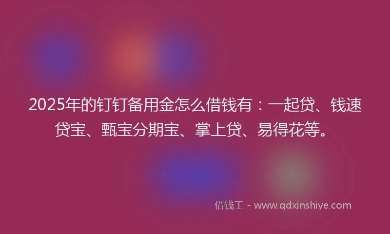 2025年的钉钉备用金怎么借钱有：一起贷、钱速贷宝、甄宝分期宝、掌上贷、易得花等。