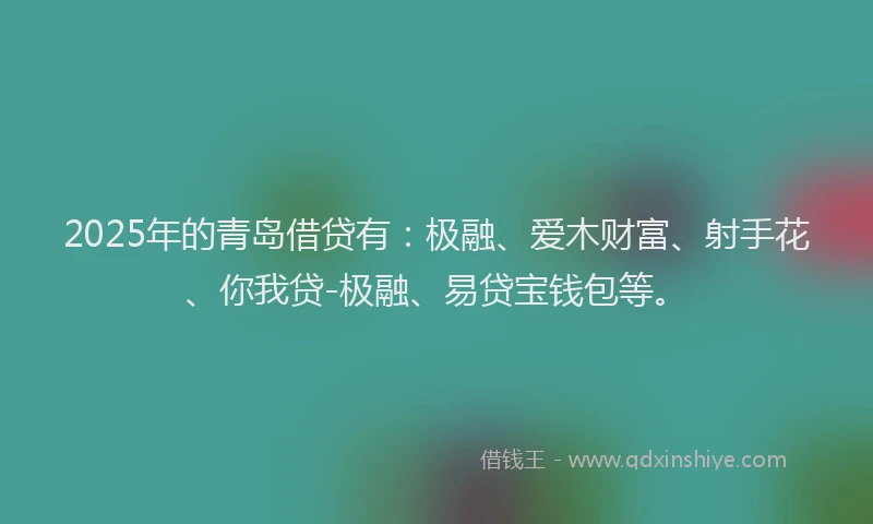 2025年的青岛借贷有：极融、爱木财富、射手花、你我贷-极融、易贷宝钱包等。