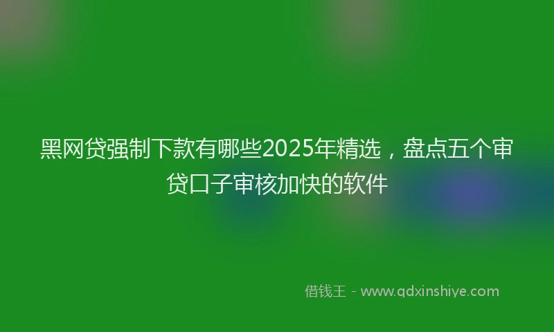 黑网贷强制下款有哪些2025年精选，盘点五个审贷口子审核加快的软件