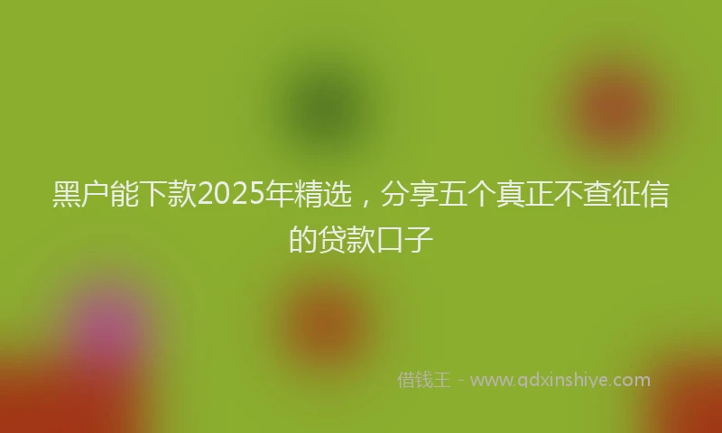 黑户能下款2025年精选，分享五个真正不查征信的贷款口子