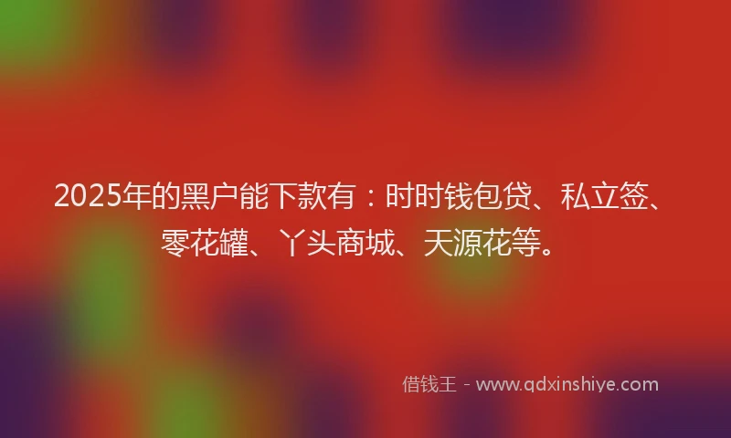 2025年的黑户能下款有：时时钱包贷、私立签、零花罐、丫头商城、天源花等。