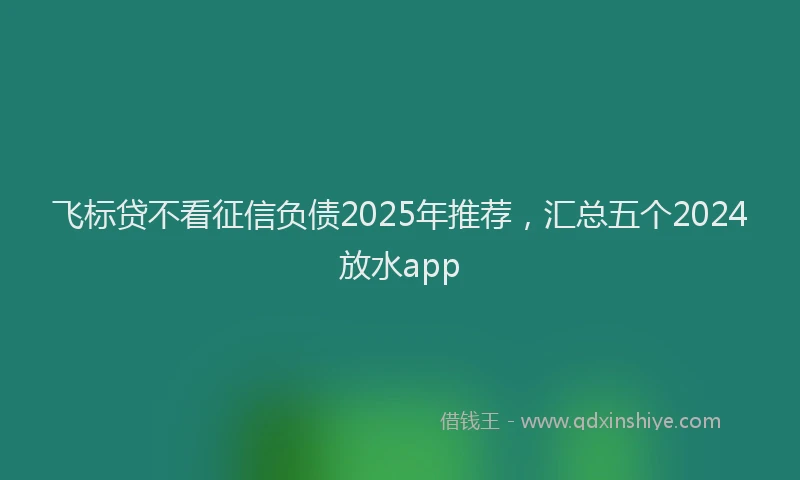 飞标贷不看征信负债2025年推荐，汇总五个2024放水app