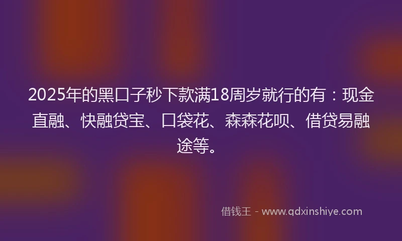 2025年的黑口子秒下款满18周岁就行的有：现金直融、快融贷宝、口袋花、森森花呗、借贷易融途等。
