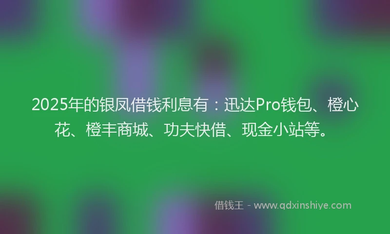 2025年的银凤借钱利息有：迅达Pro钱包、橙心花、橙丰商城、功夫快借、现金小站等。