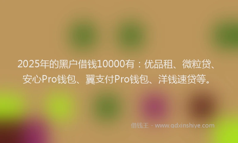 2025年的黑户借钱10000有：优品租、微粒贷、安心Pro钱包、翼支付Pro钱包、洋钱速贷等。