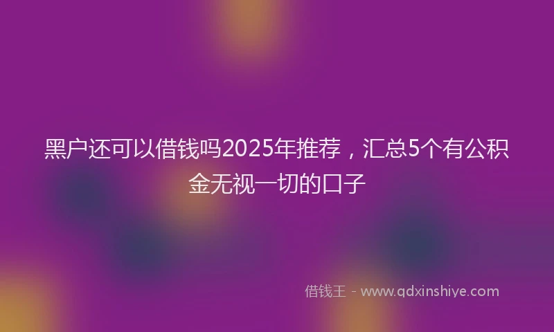 黑户还可以借钱吗2025年推荐，汇总5个有公积金无视一切的口子