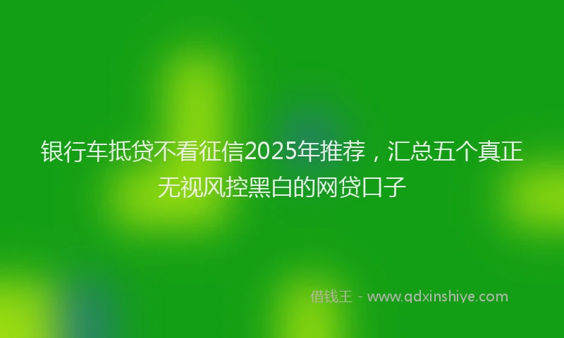 银行车抵贷不看征信2025年推荐，汇总五个真正无视风控黑白的网贷口子