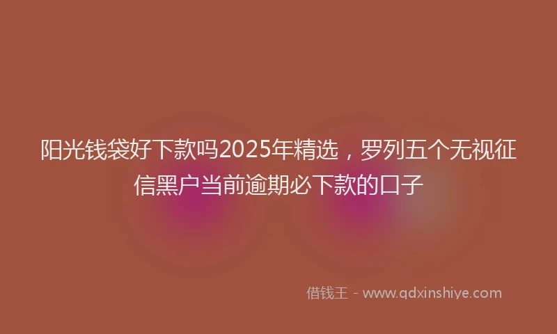 阳光钱袋好下款吗2025年精选，罗列五个无视征信黑户当前逾期必下款的口子