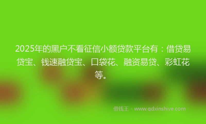 2025年的黑户不看征信小额贷款平台有：借贷易贷宝、钱速融贷宝、口袋花、融资易贷、彩虹花等。