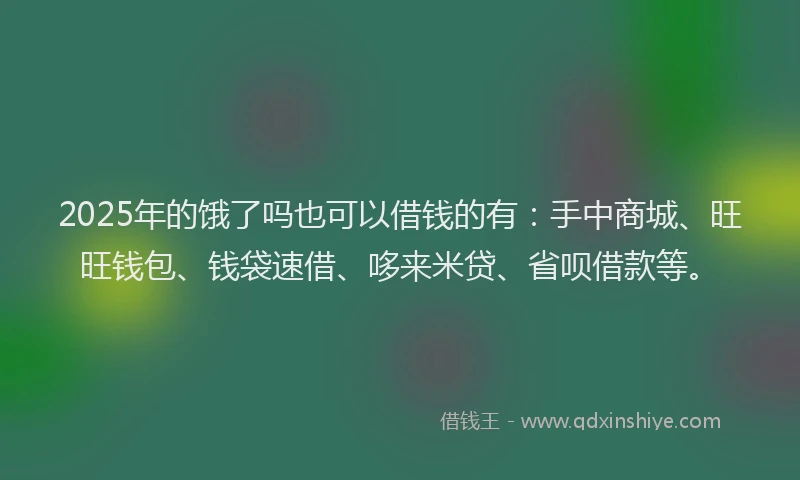 2025年的饿了吗也可以借钱的有：手中商城、旺旺钱包、钱袋速借、哆来米贷、省呗借款等。