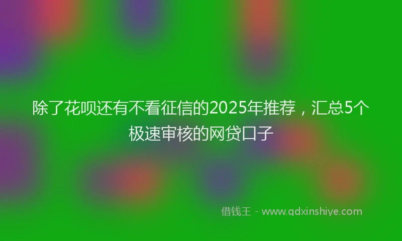 除了花呗还有不看征信的2025年推荐，汇总5个极速审核的网贷口子