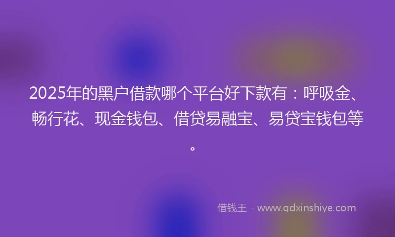 2025年的黑户借款哪个平台好下款有：呼吸金、畅行花、现金钱包、借贷易融宝、易贷宝钱包等。