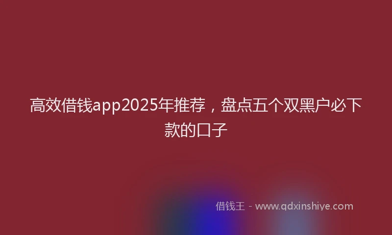 高效借钱app2025年推荐，盘点五个双黑户必下款的口子