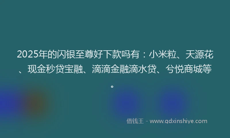 2025年的闪银至尊好下款吗有：小米粒、天源花、现金秒贷宝融、滴滴金融滴水贷、兮悦商城等。
