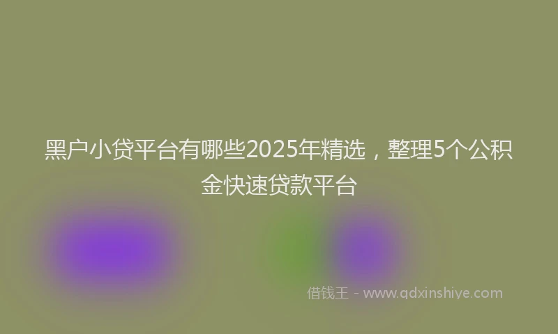 黑户小贷平台有哪些2025年精选，整理5个公积金快速贷款平台