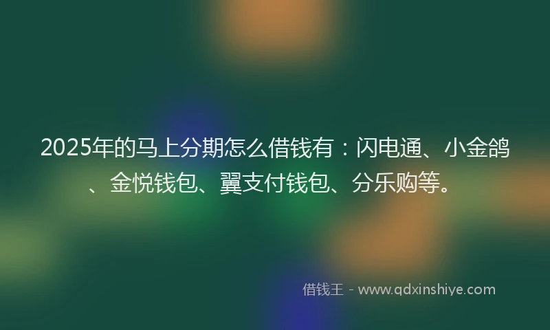 2025年的马上分期怎么借钱有：闪电通、小金鸽、金悦钱包、翼支付钱包、分乐购等。