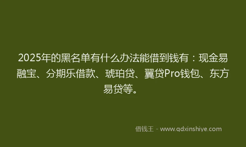 2025年的黑名单有什么办法能借到钱有：现金易融宝、分期乐借款、琥珀贷、翼贷Pro钱包、东方易贷等。