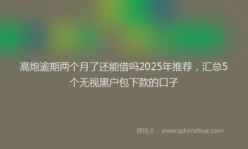 高炮逾期两个月了还能借吗2025年推荐，汇总5个无视黑户包下款的口子