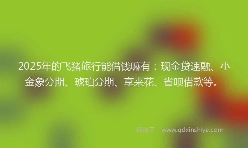 2025年的飞猪旅行能借钱嘛有：现金贷速融、小金象分期、琥珀分期、享来花、省呗借款等。