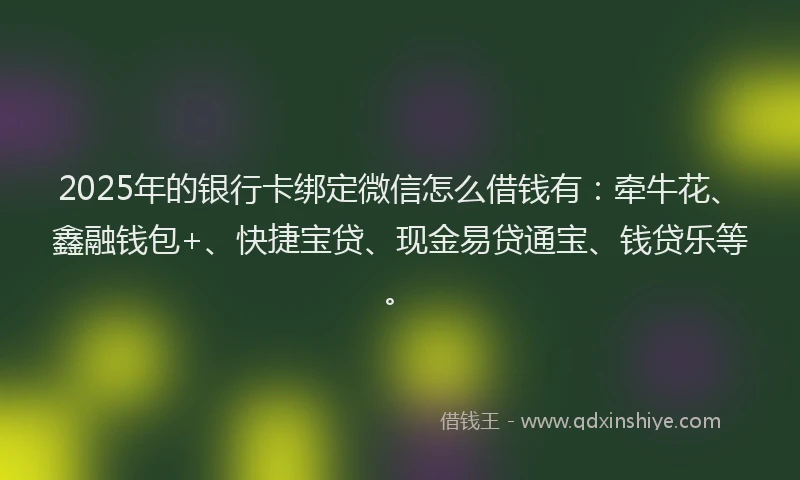 2025年的银行卡绑定微信怎么借钱有：牵牛花、鑫融钱包+、快捷宝贷、现金易贷通宝、钱贷乐等。
