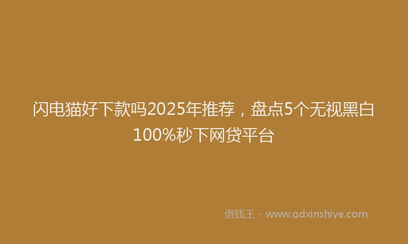 闪电猫好下款吗2025年推荐，盘点5个无视黑白100%秒下网贷平台