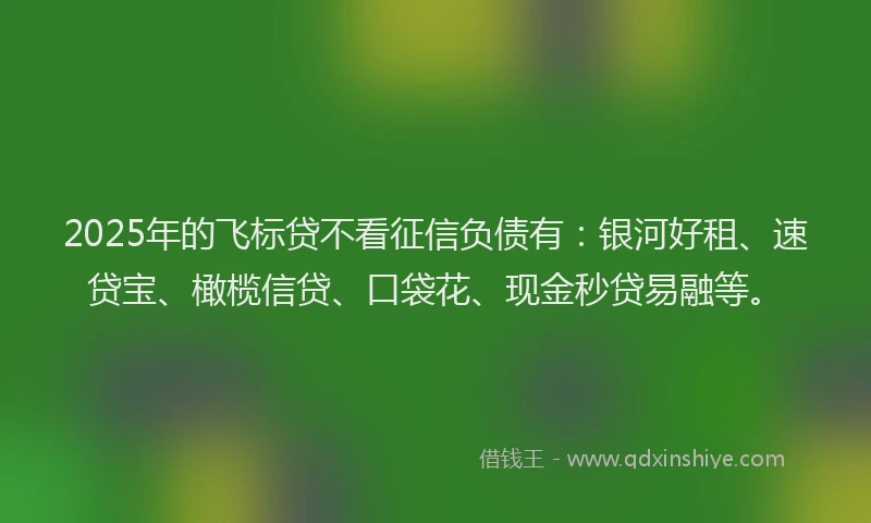 2025年的飞标贷不看征信负债有：银河好租、速贷宝、橄榄信贷、口袋花、现金秒贷易融等。