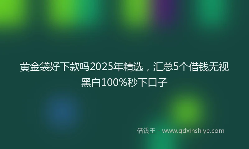 黄金袋好下款吗2025年精选，汇总5个借钱无视黑白100%秒下口子
