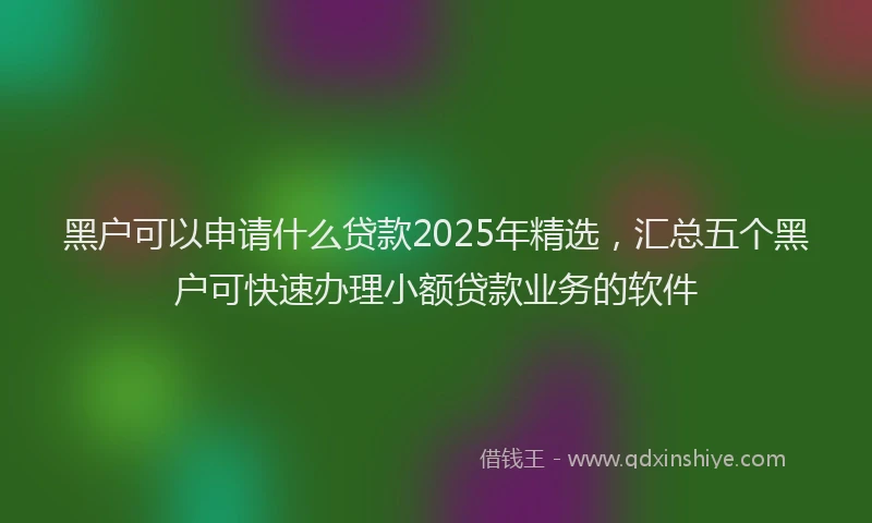 黑户可以申请什么贷款2025年精选，汇总五个黑户可快速办理小额贷款业务的软件